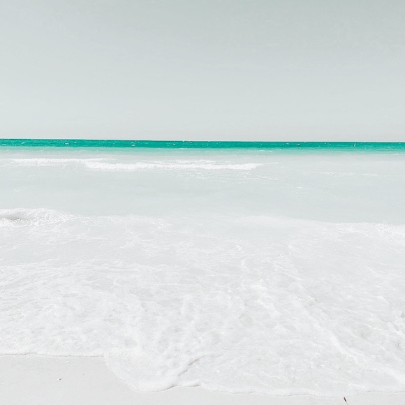 Meet your Posher, Parker - Picture 1 of 1